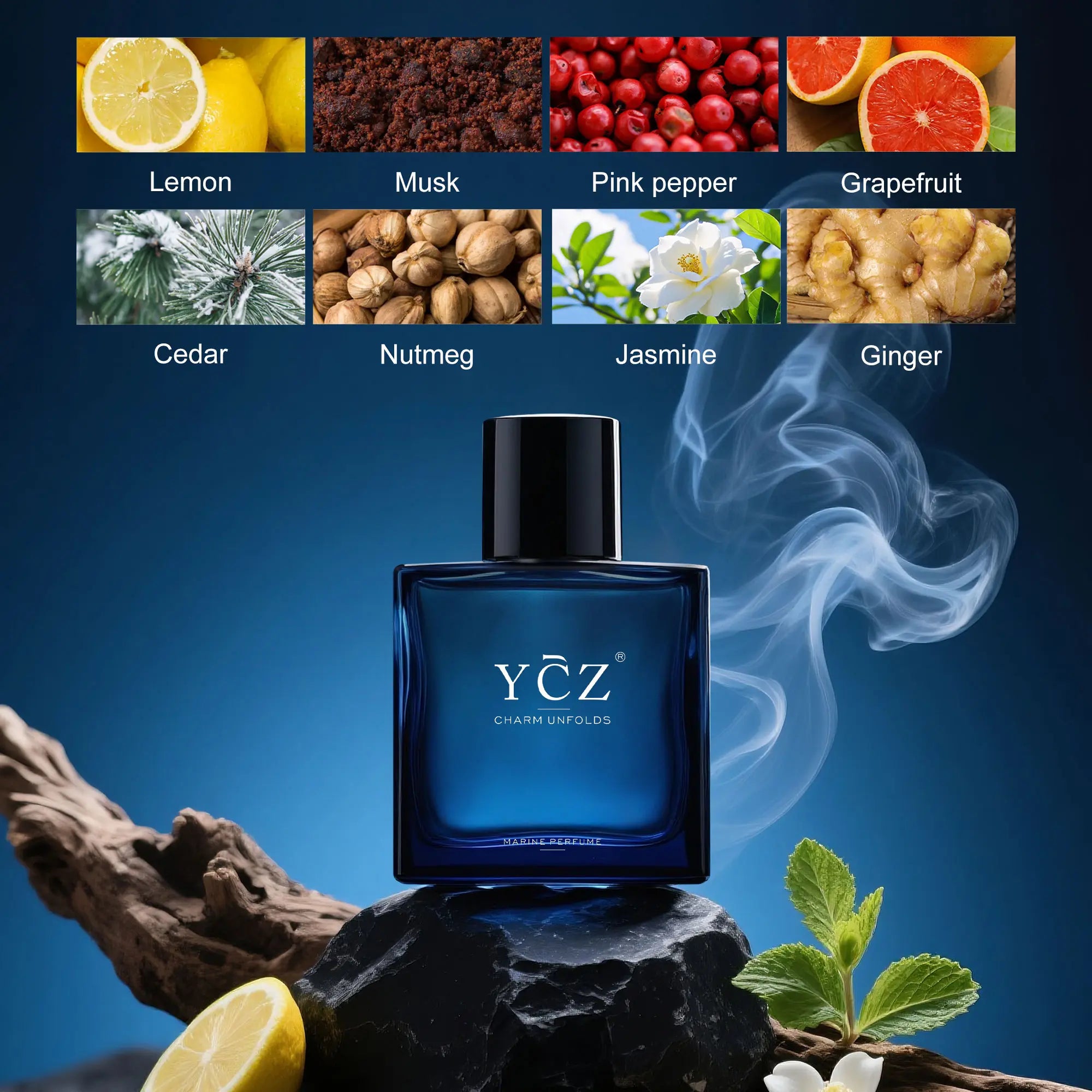 YCZ Midnight Marine Eau De Parfum 50ml Unisex | Luxurious Aromatic Aquatic Woody Fragrance with Bergamot, Coconut, and Amber | Long-Lasting Arabian Scent for Men and Women | Premium Gift Option